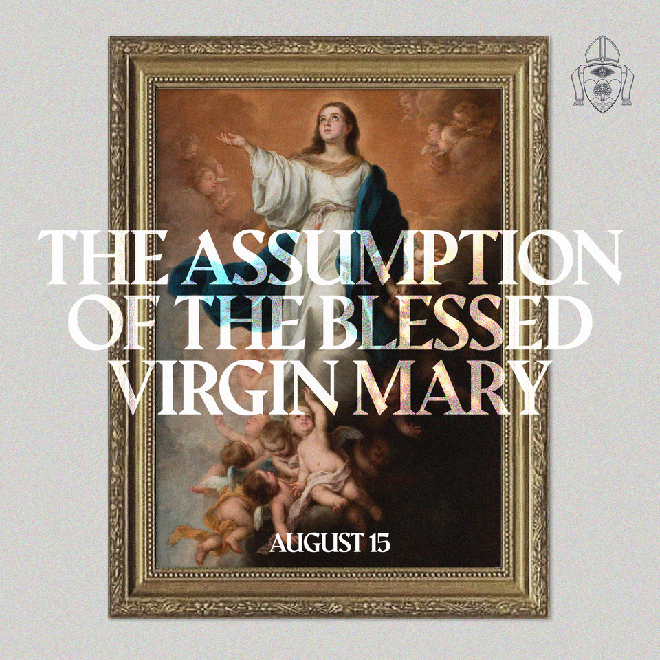 Today we celebrate the Solemnity of the Assumption of the Blessed Virgin Mary 🙌 

“Pray for us, O Holy Mother of God, that we may be made worthy of the promises of Christ.” 🙏